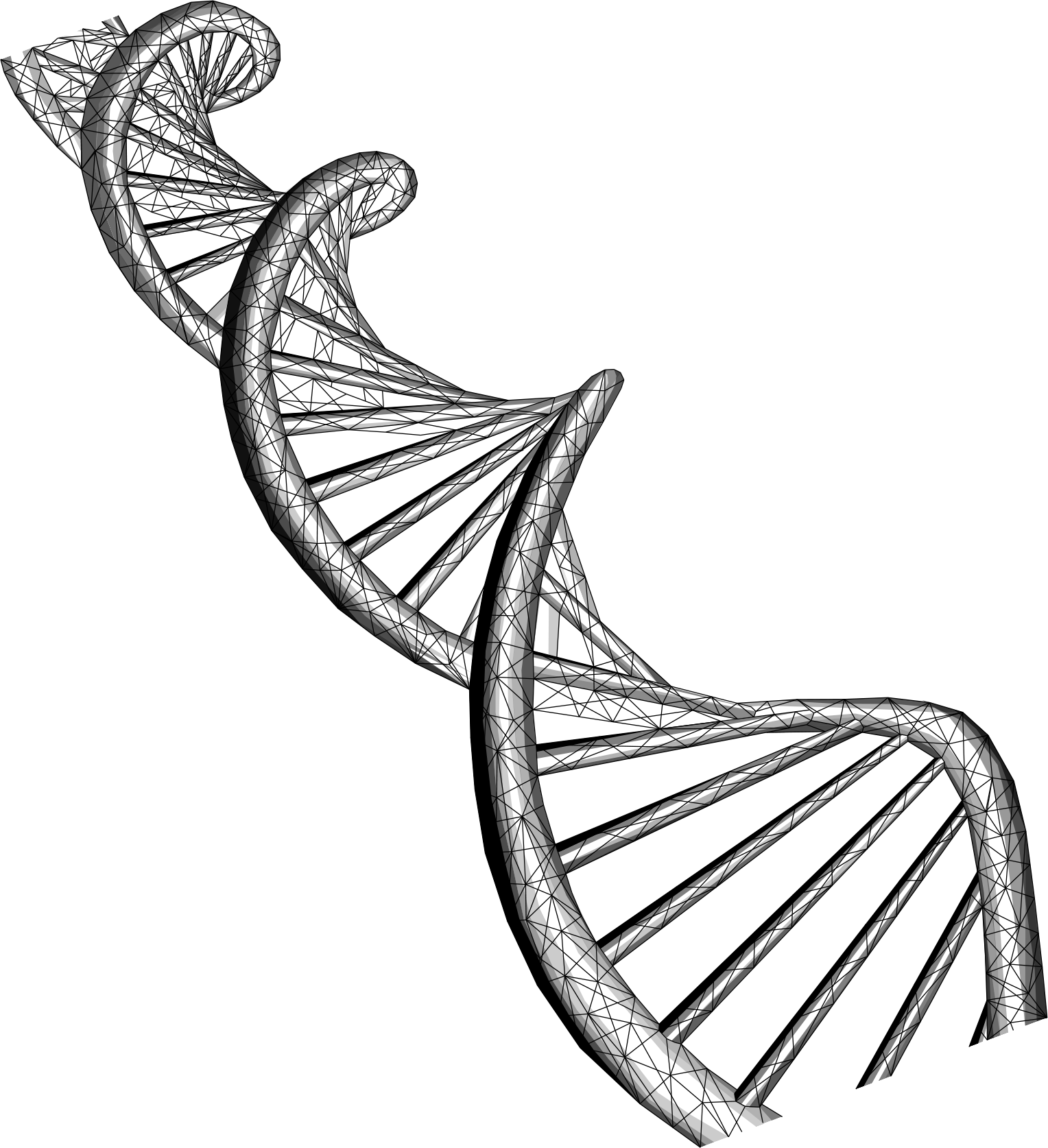 DNA structure